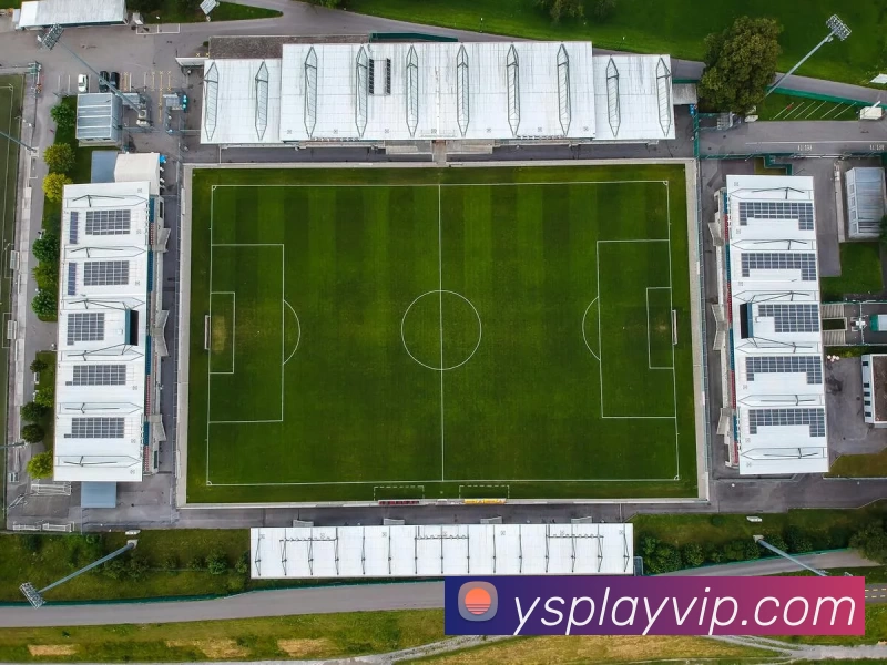 App Interface Preview