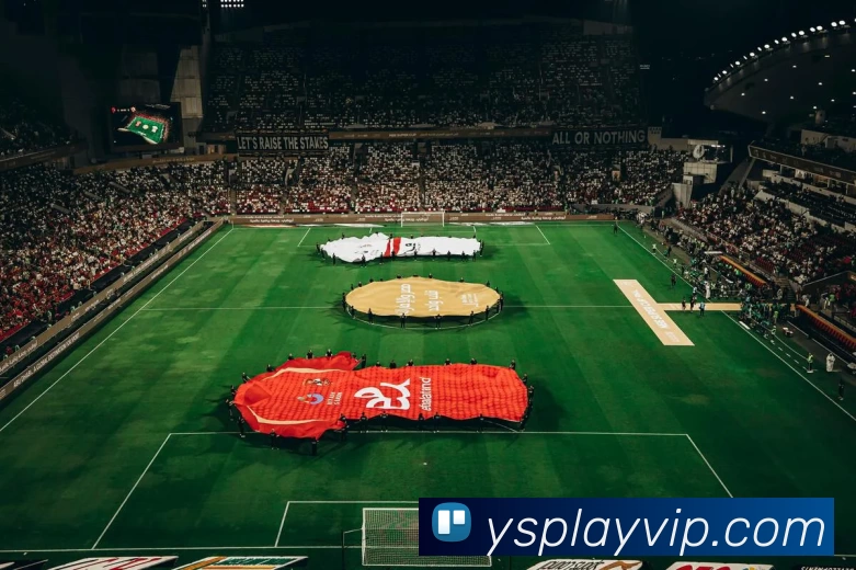 耀世娱乐官网APP 封面图